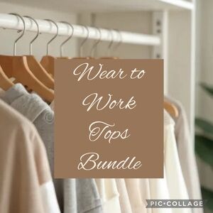 10 piece Wear to Work Tops Blouses mystery bundle ladies XL